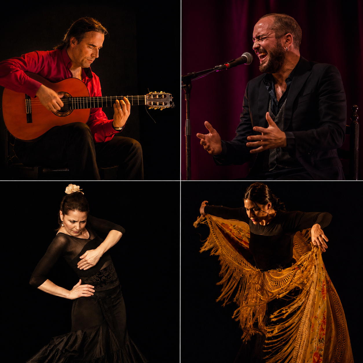 Flamenco Köln - Nati Blanco - Paralyzed materia